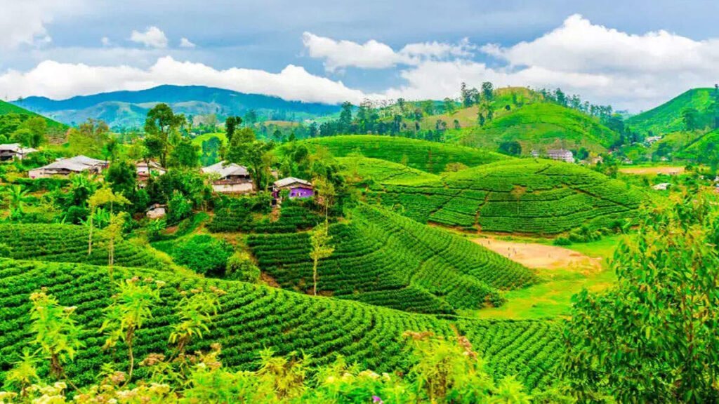 Kerala Tour Package From Lucknow